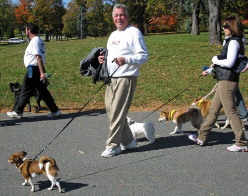 Morris Plains Mayor Frank Druetzler walks Rags during the walk.